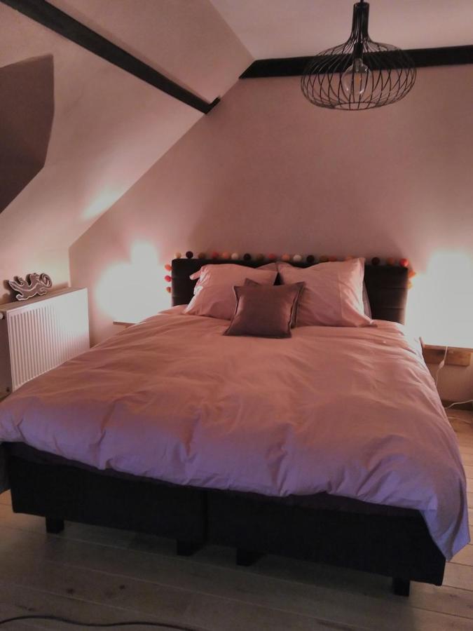Chambres D'Hotes Les 3 Salamandres Yvoir Zewnętrze zdjęcie